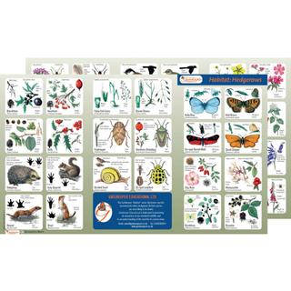 Product Image Front