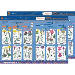 Product Image Front