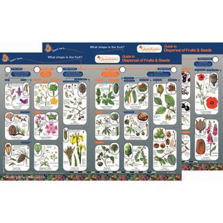 Product Image Front
