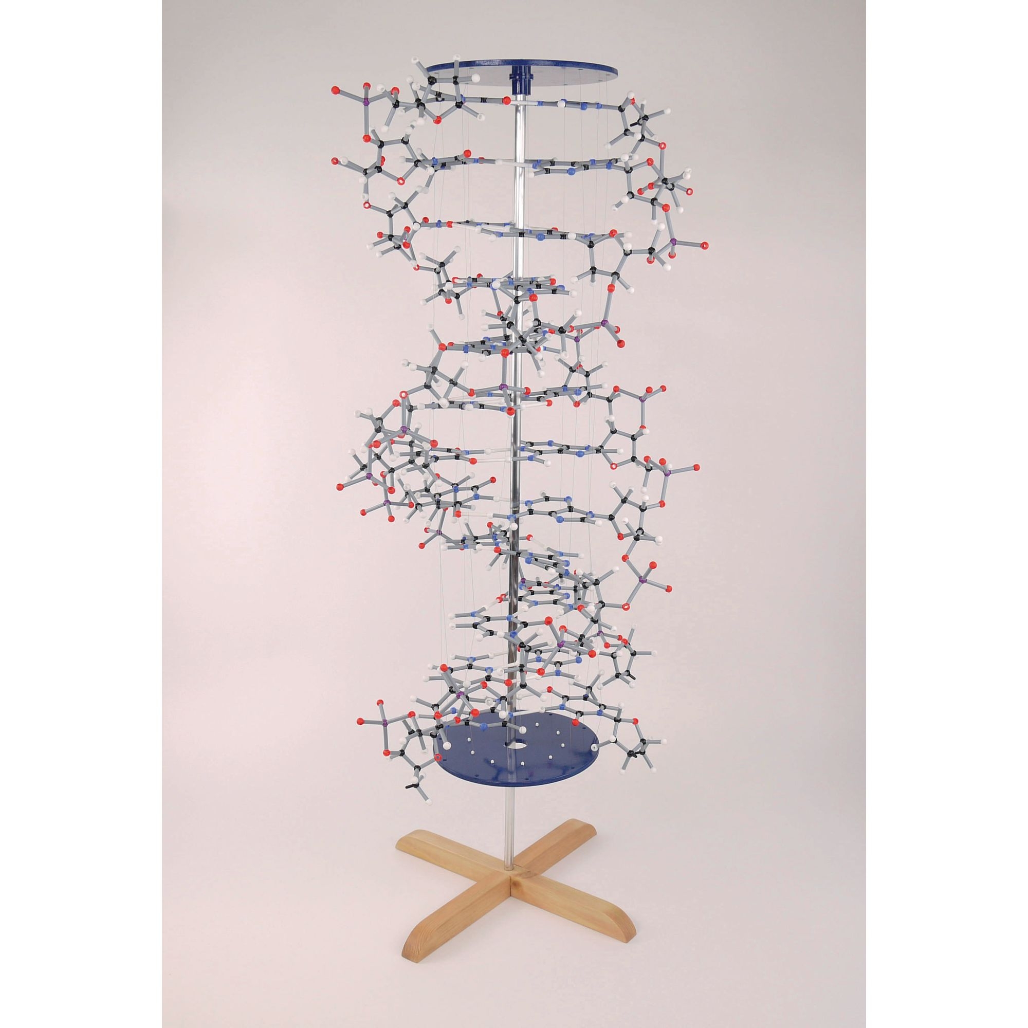 Orbit Proview Dna Model Kit