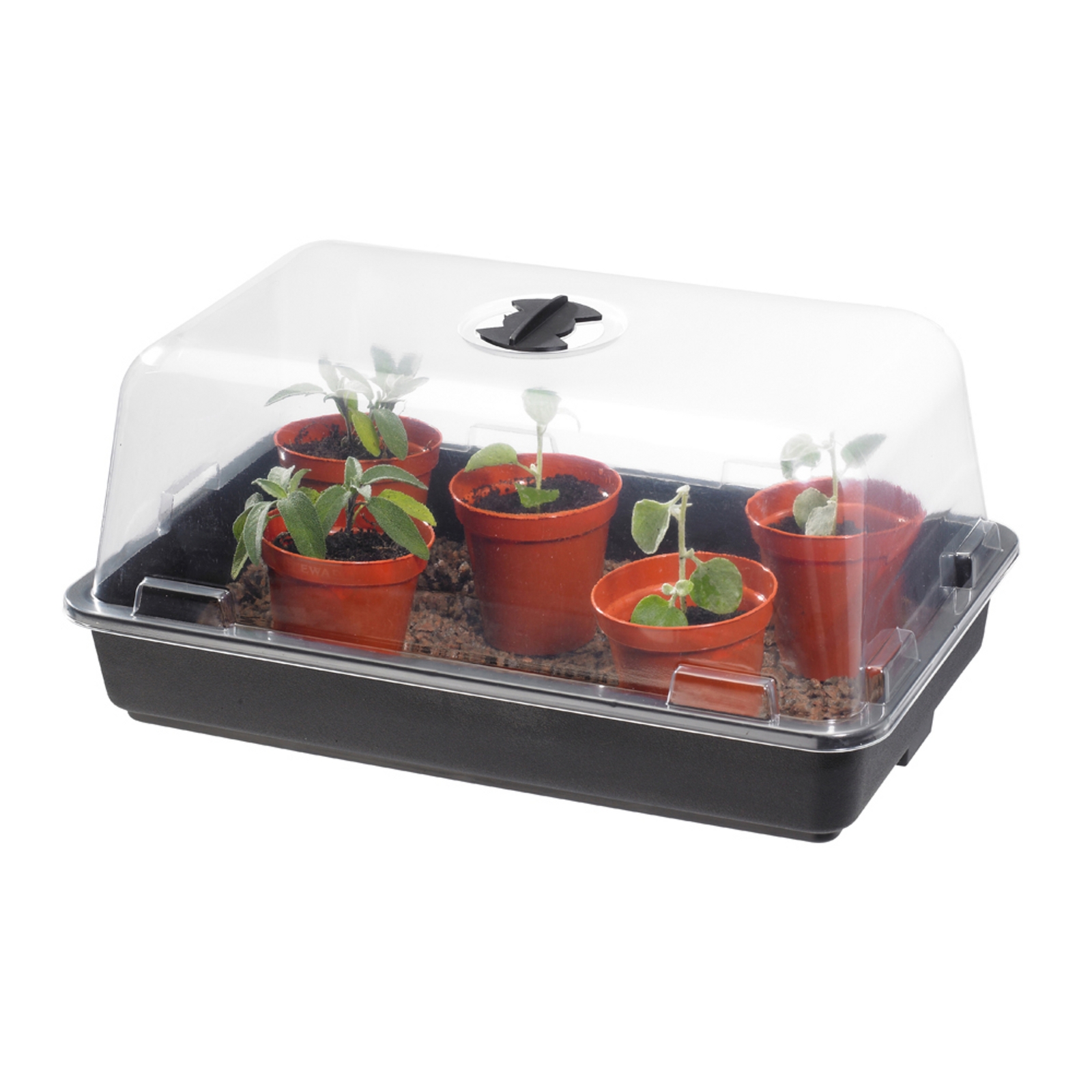 Unheated Propagator - 380mm