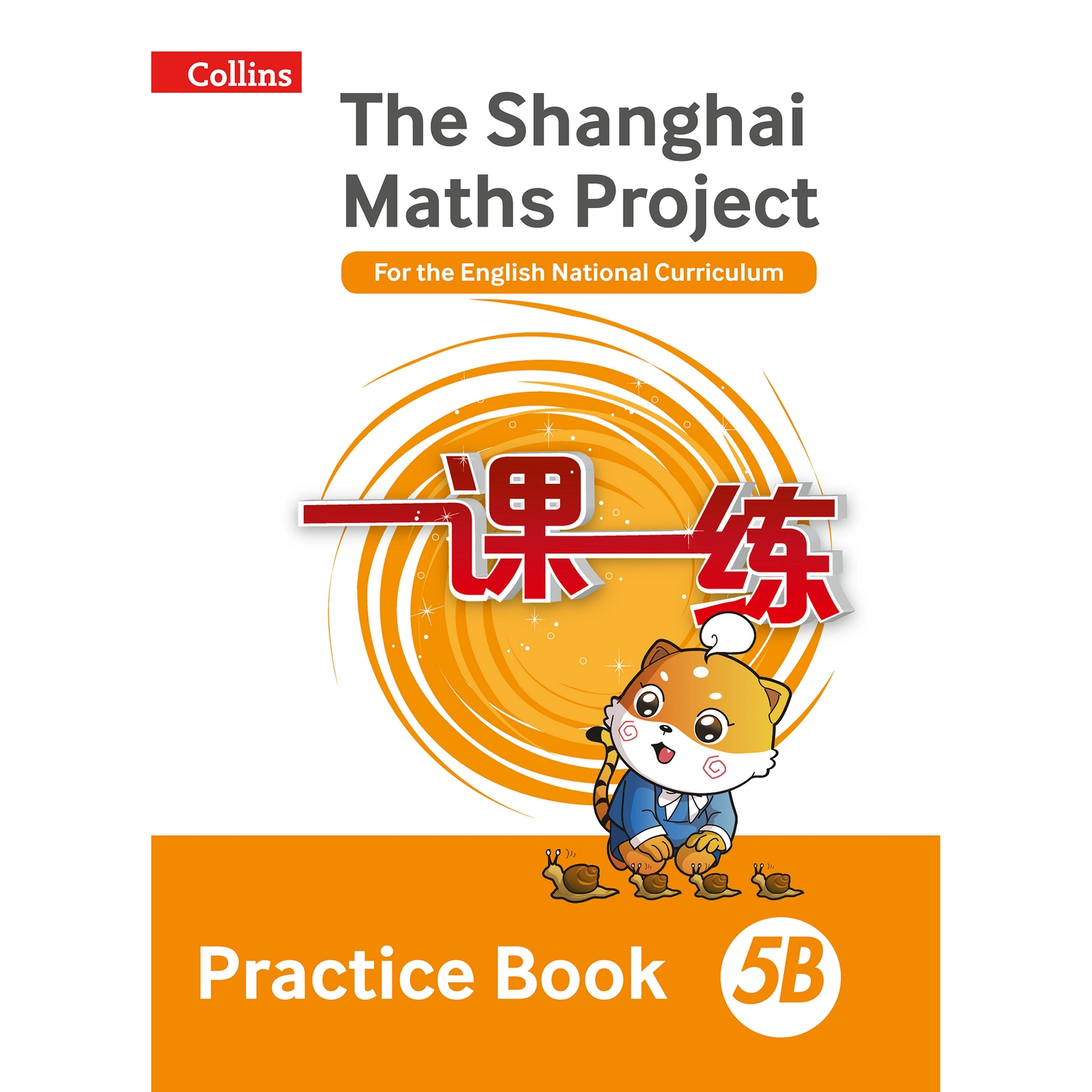 Shanghai Maths Project - Practice Book 5B