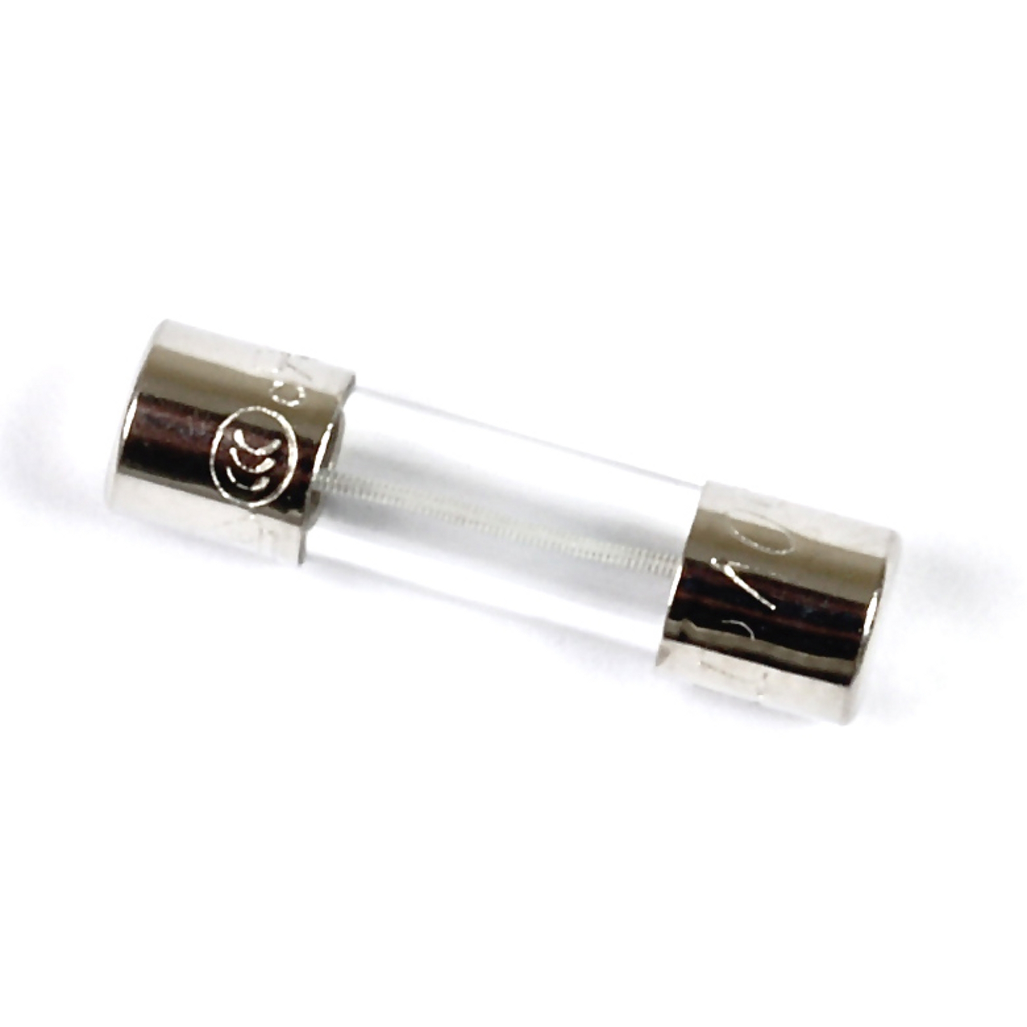 1a Time Delay Fuses P100