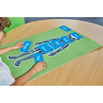 Skeleton Table Top Findel International