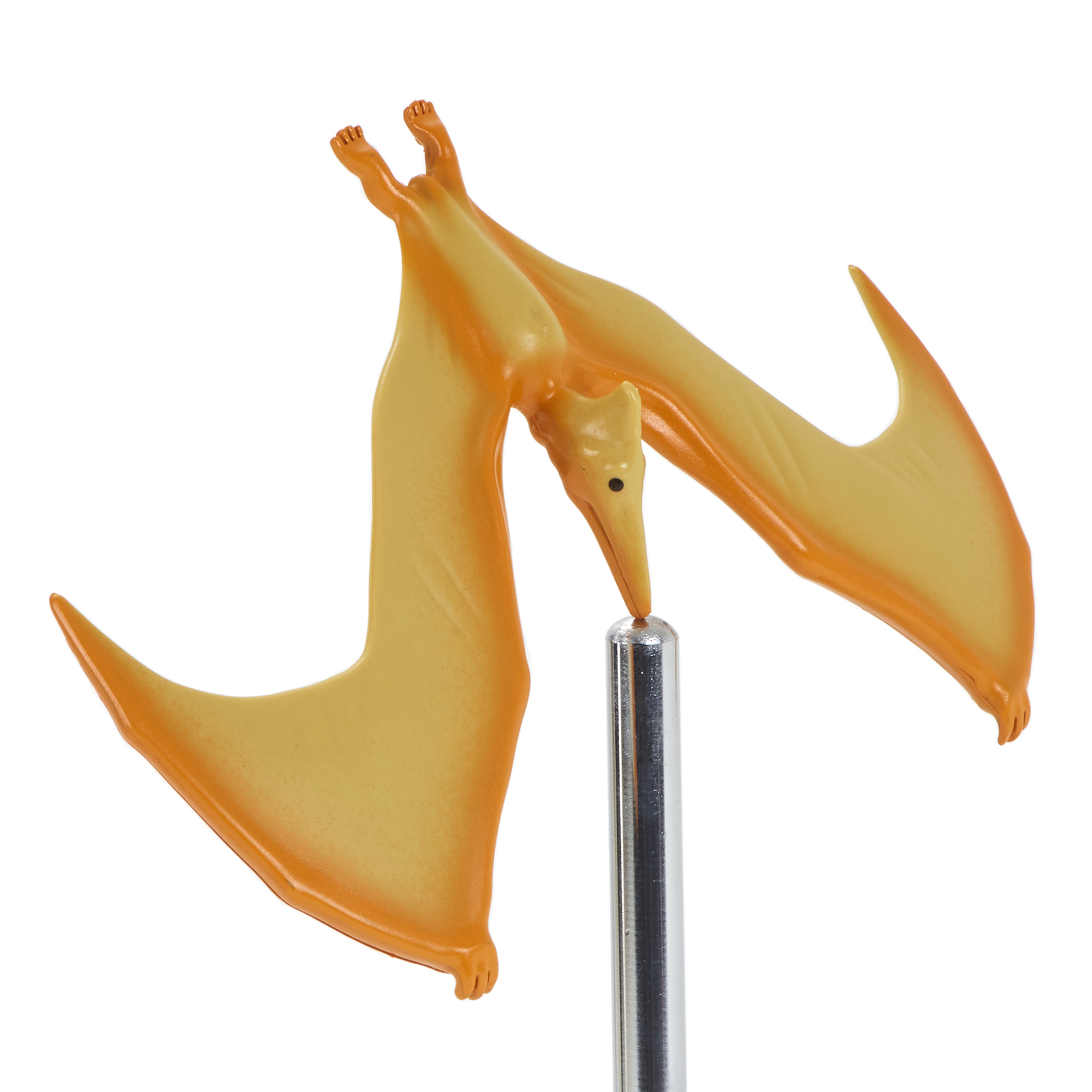 Balancing pteranodon hot sale