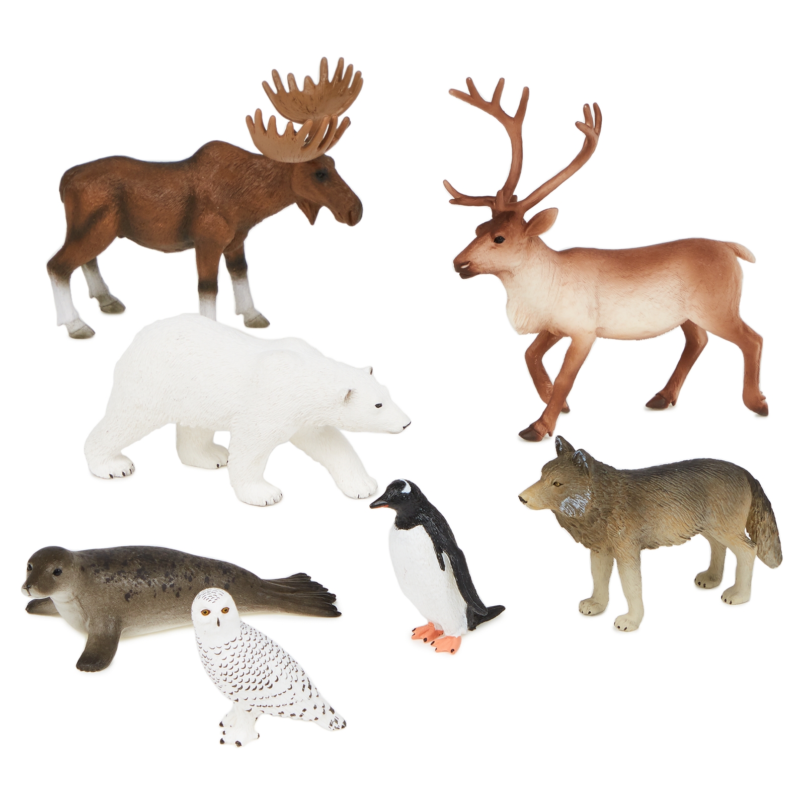 Cold Environment Animals Set from Hope Education