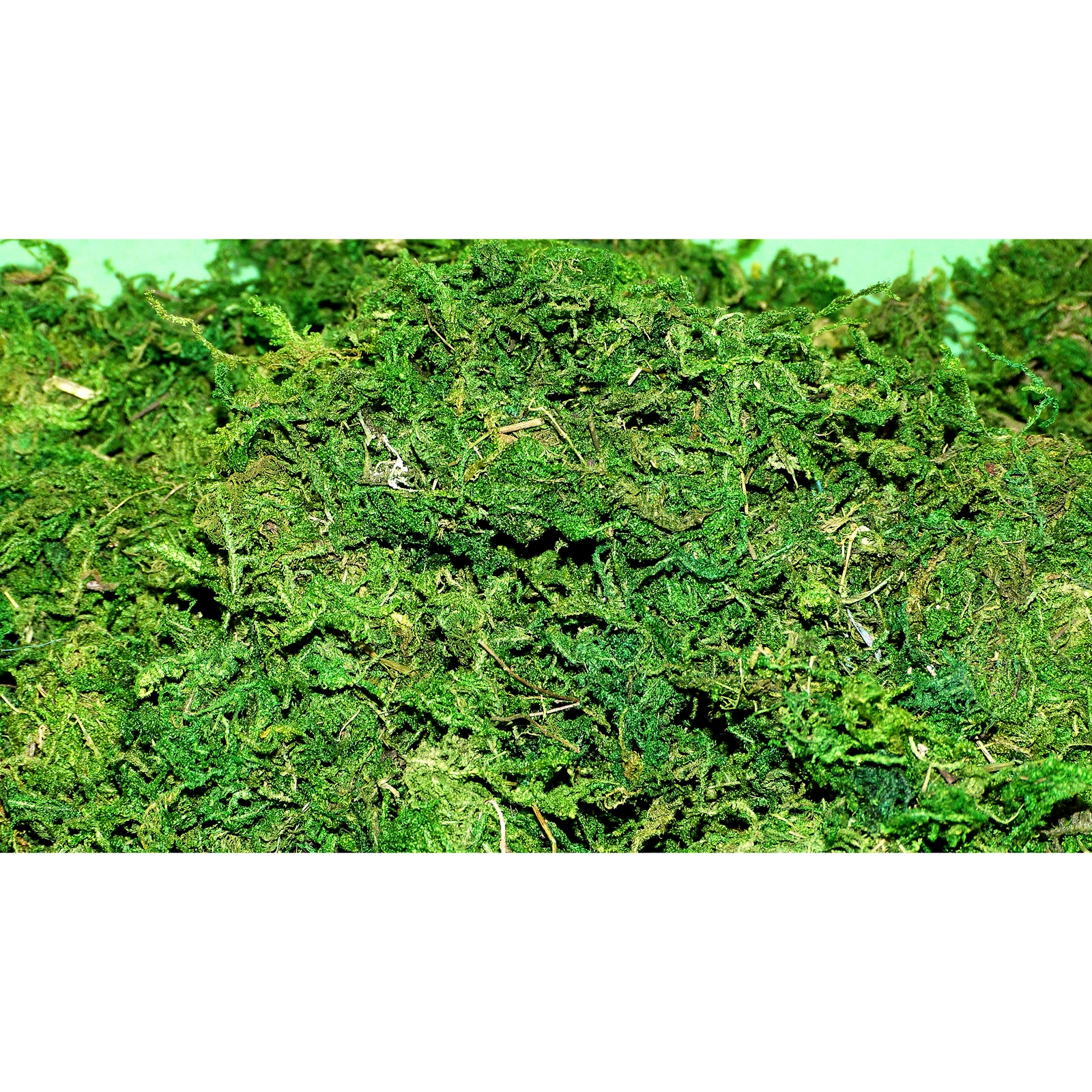 Green Moss - 100g