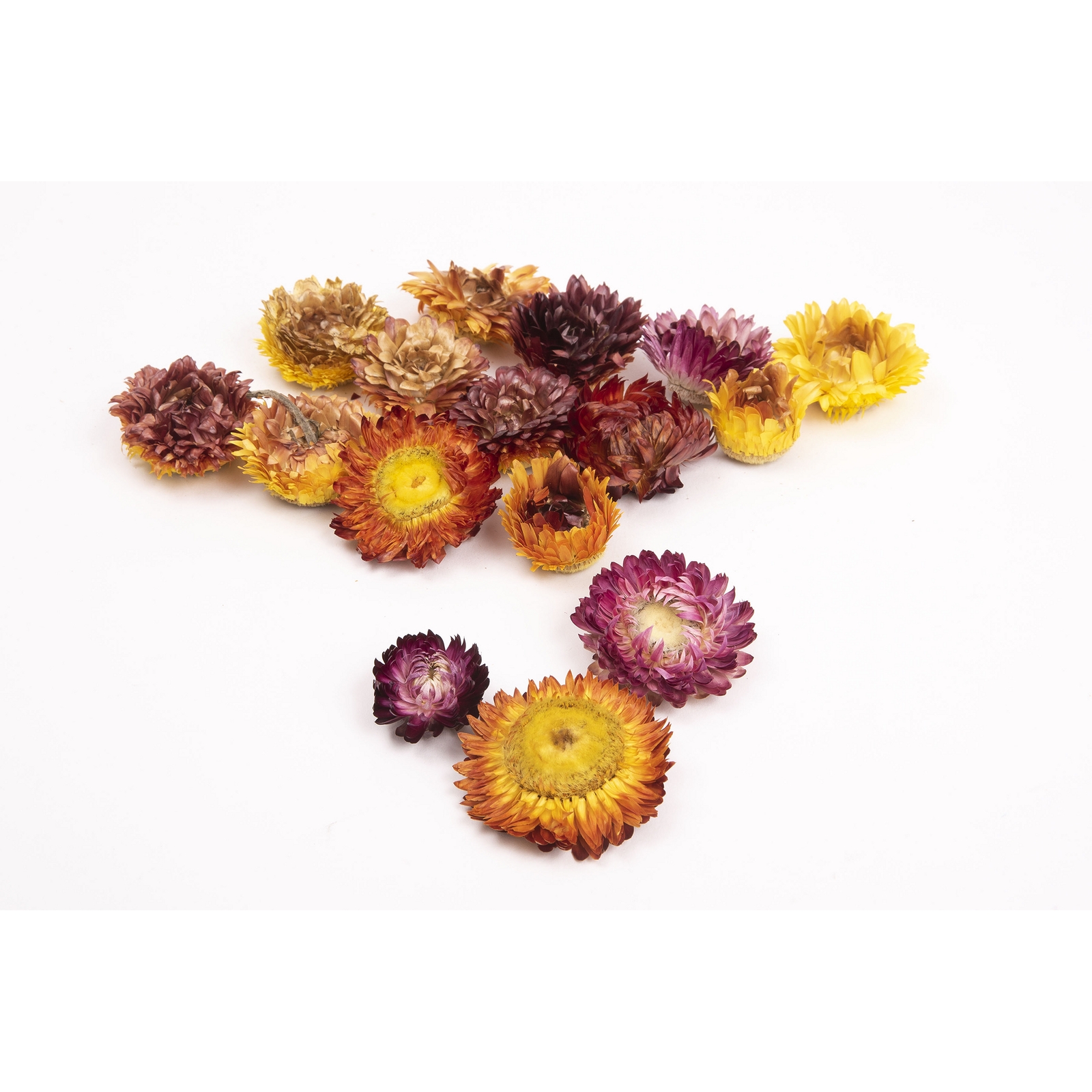 Dried Flower Heads - 75g