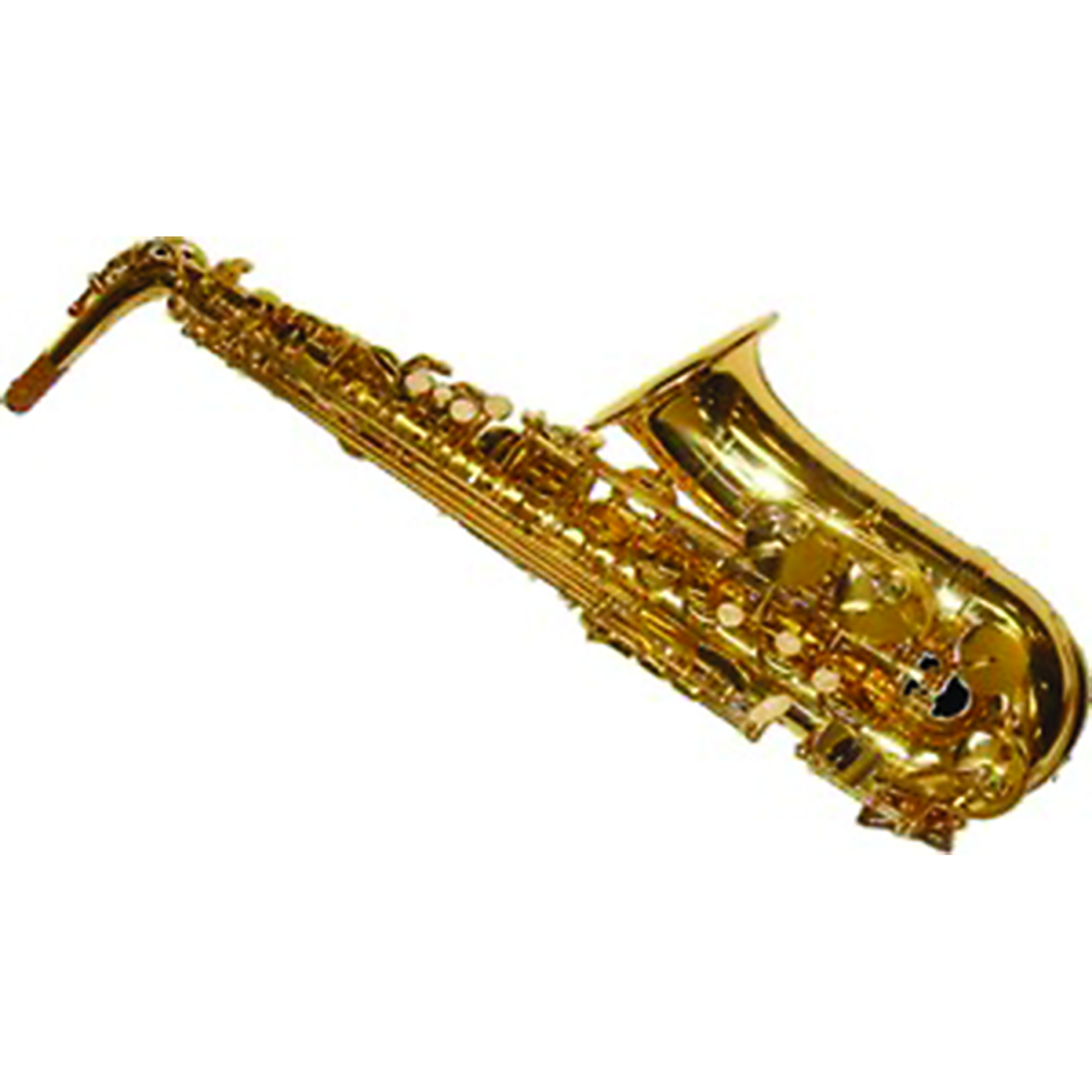 Elkhart 100as Alto Saxophone