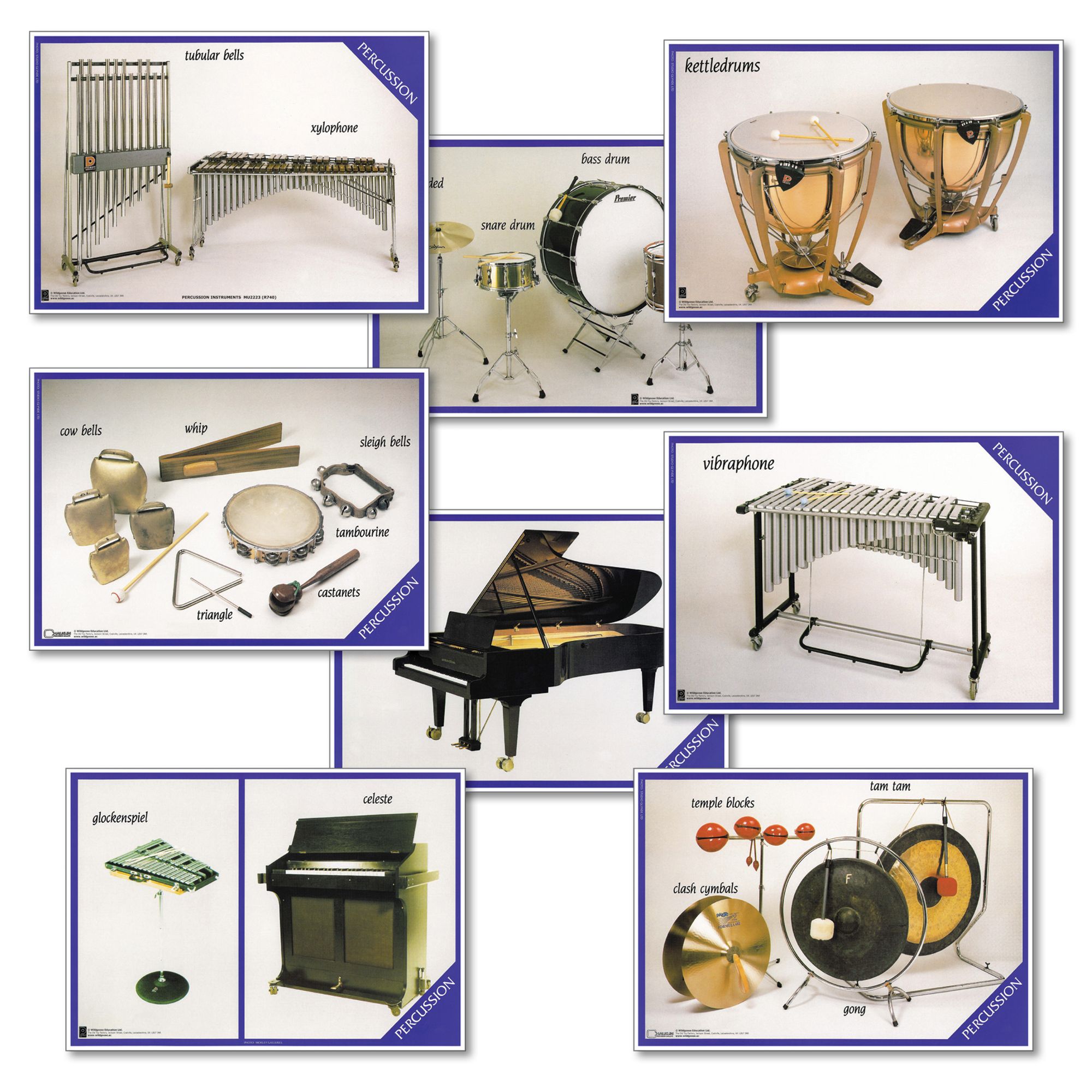 Percussions Instruments Set