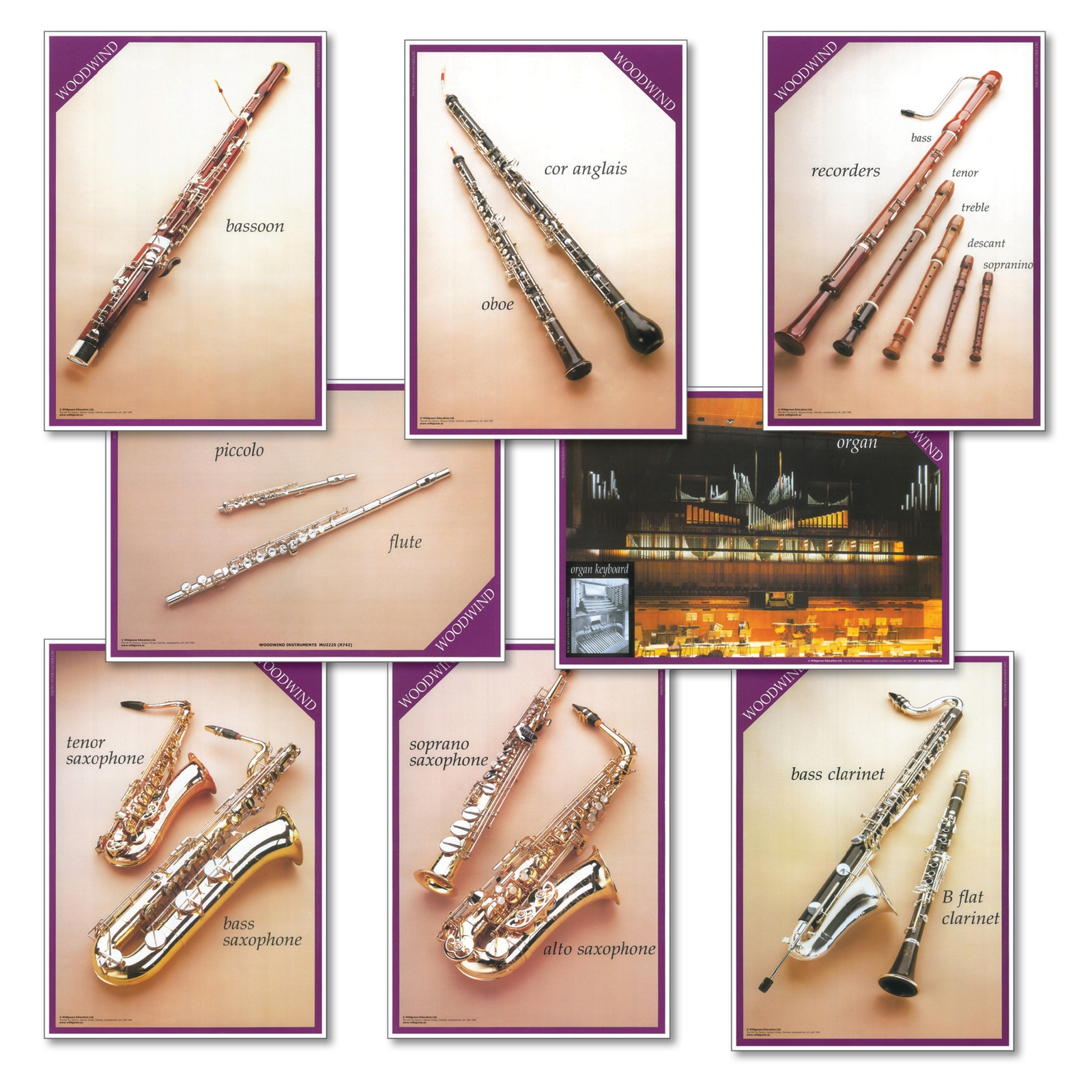 Woodwind Instruments Set