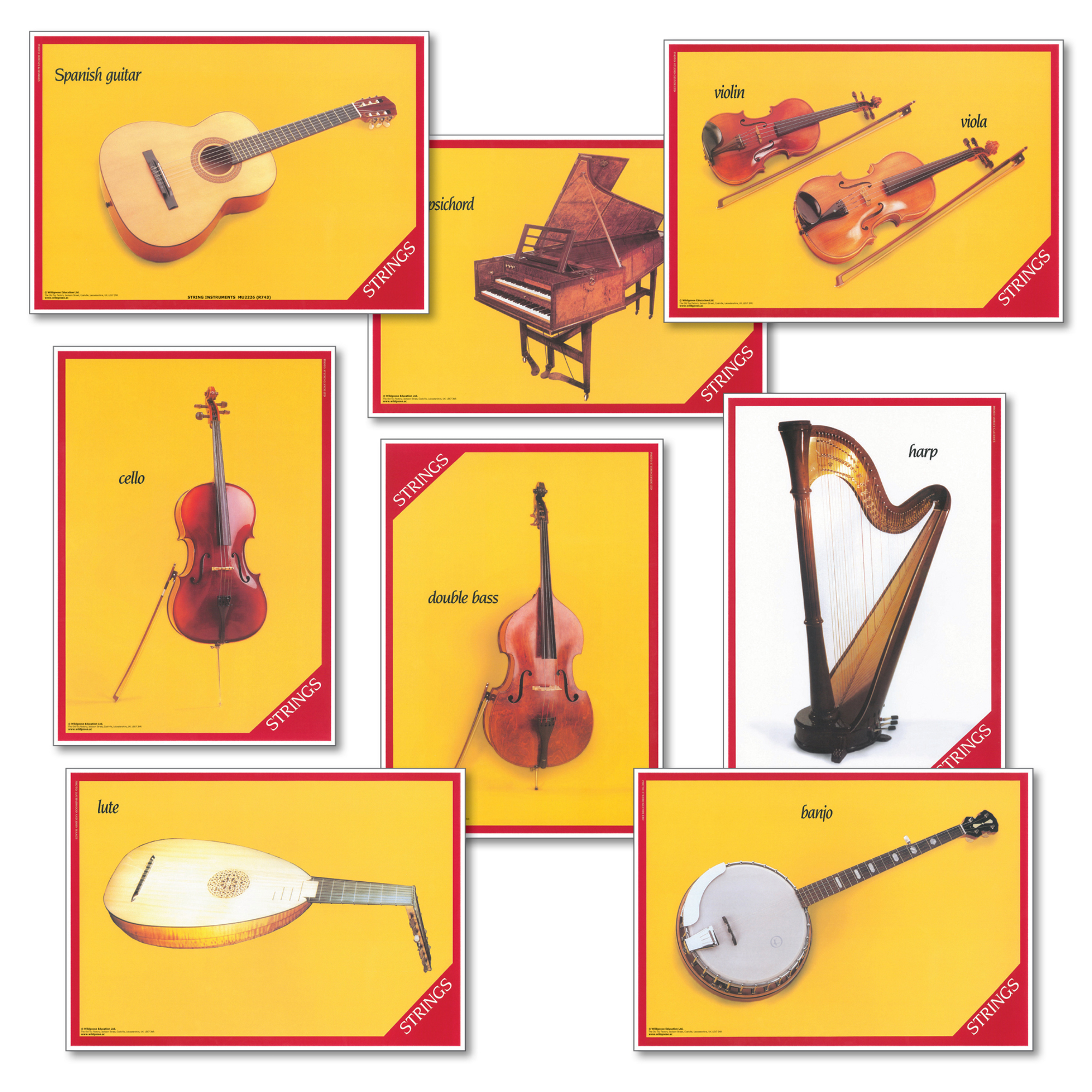 String Instruments Instruments Set