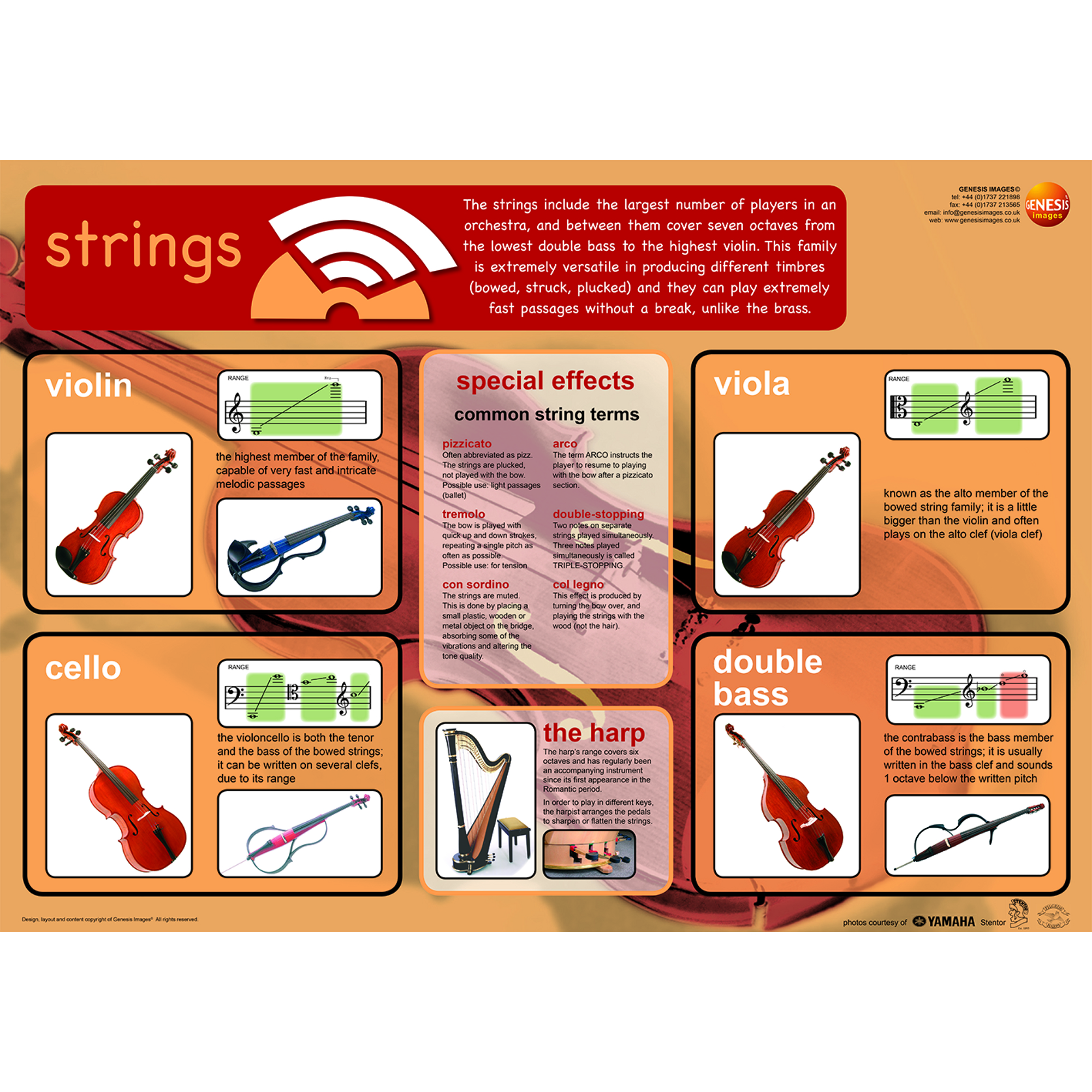 Orchestral Strings