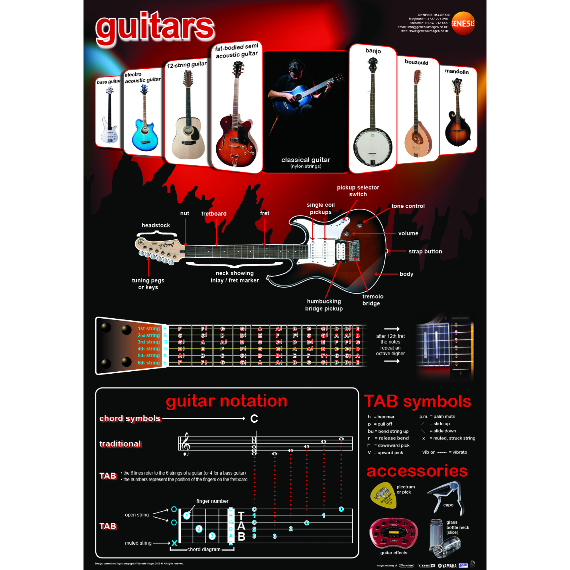 Guitars