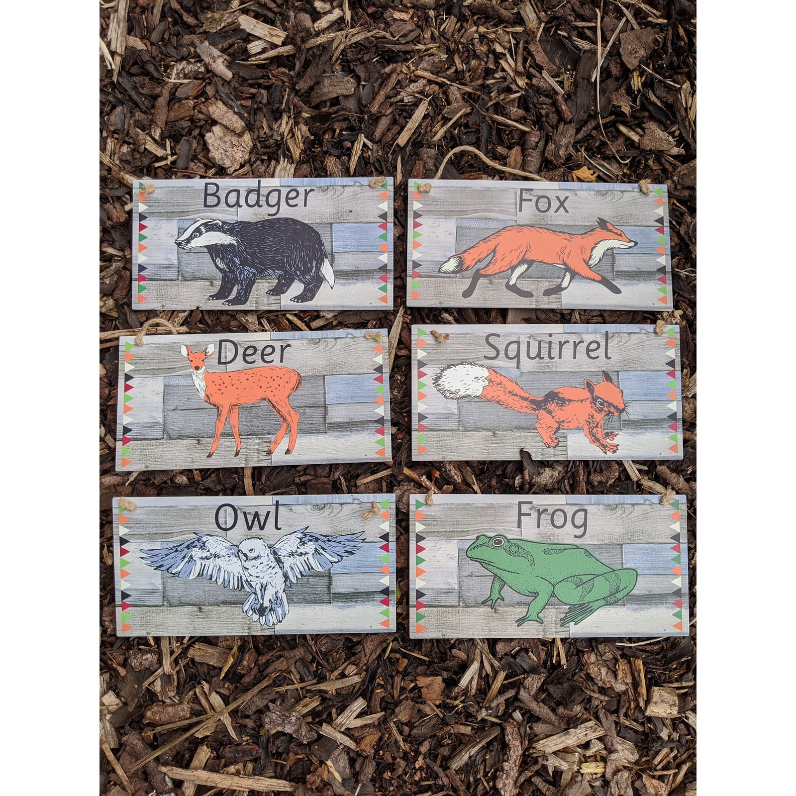 Outdoor Whose Tracks? Which Animal? Signs from Hope Education 
