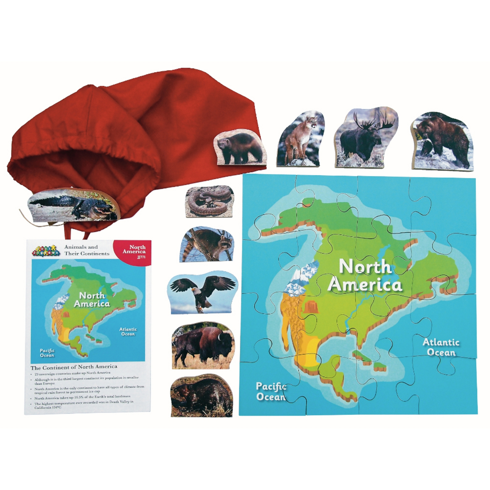 North American Animals and Their Continents