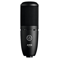 AKG Perception P120 2/3" condenser microphone