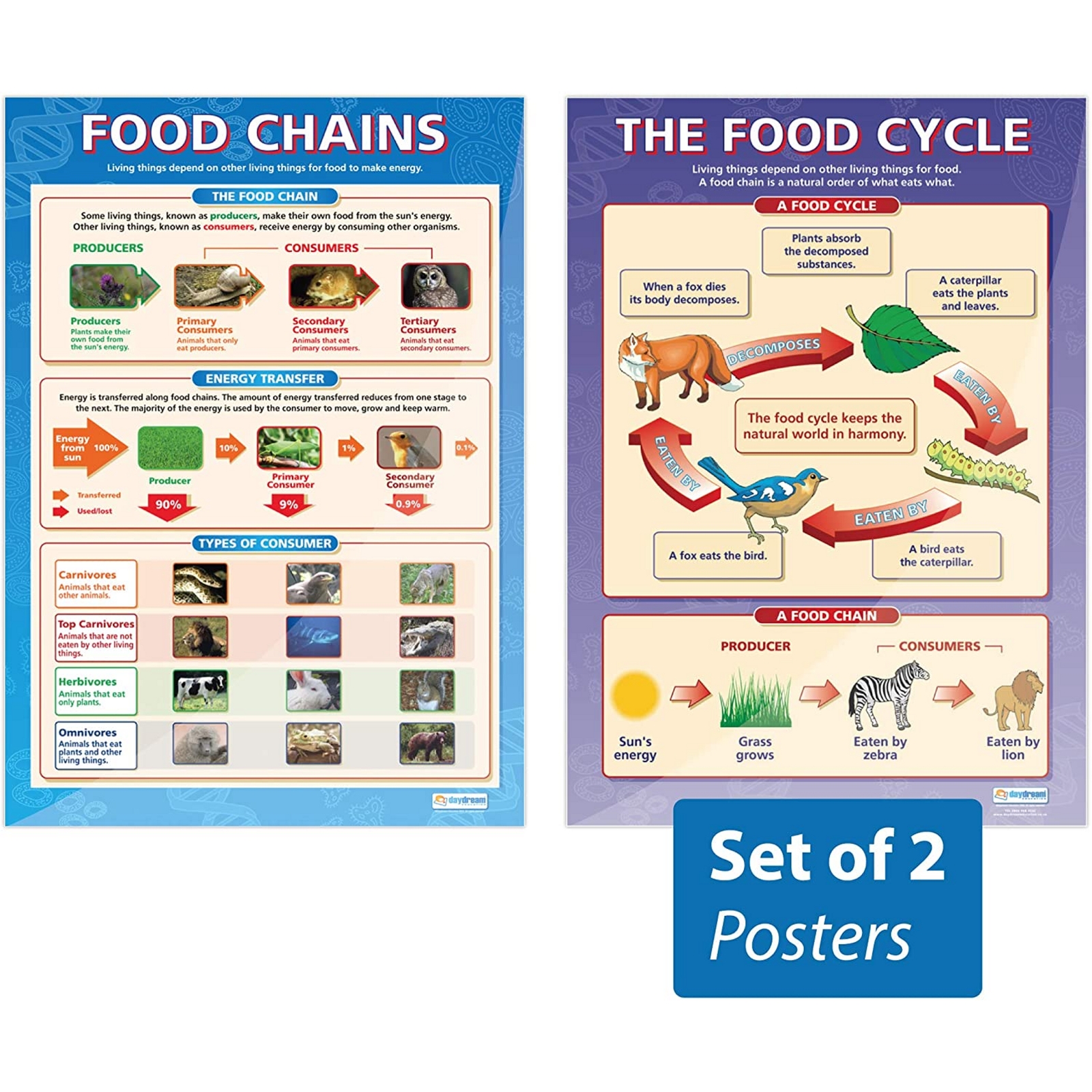 The Food Cycle Food Chains Posters Biology Diagrams