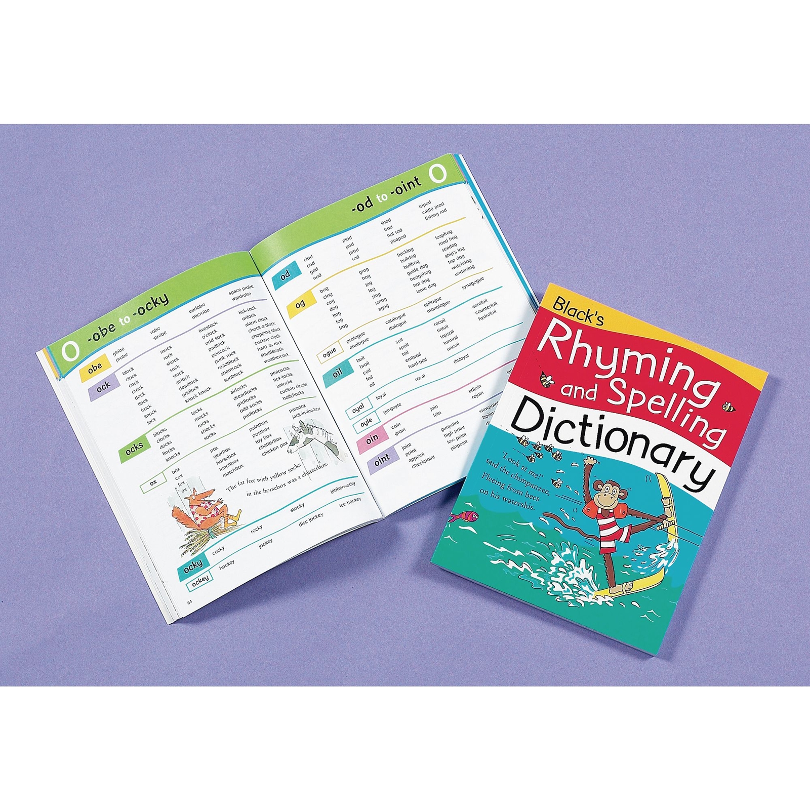 Dictionaries & Thesaurus