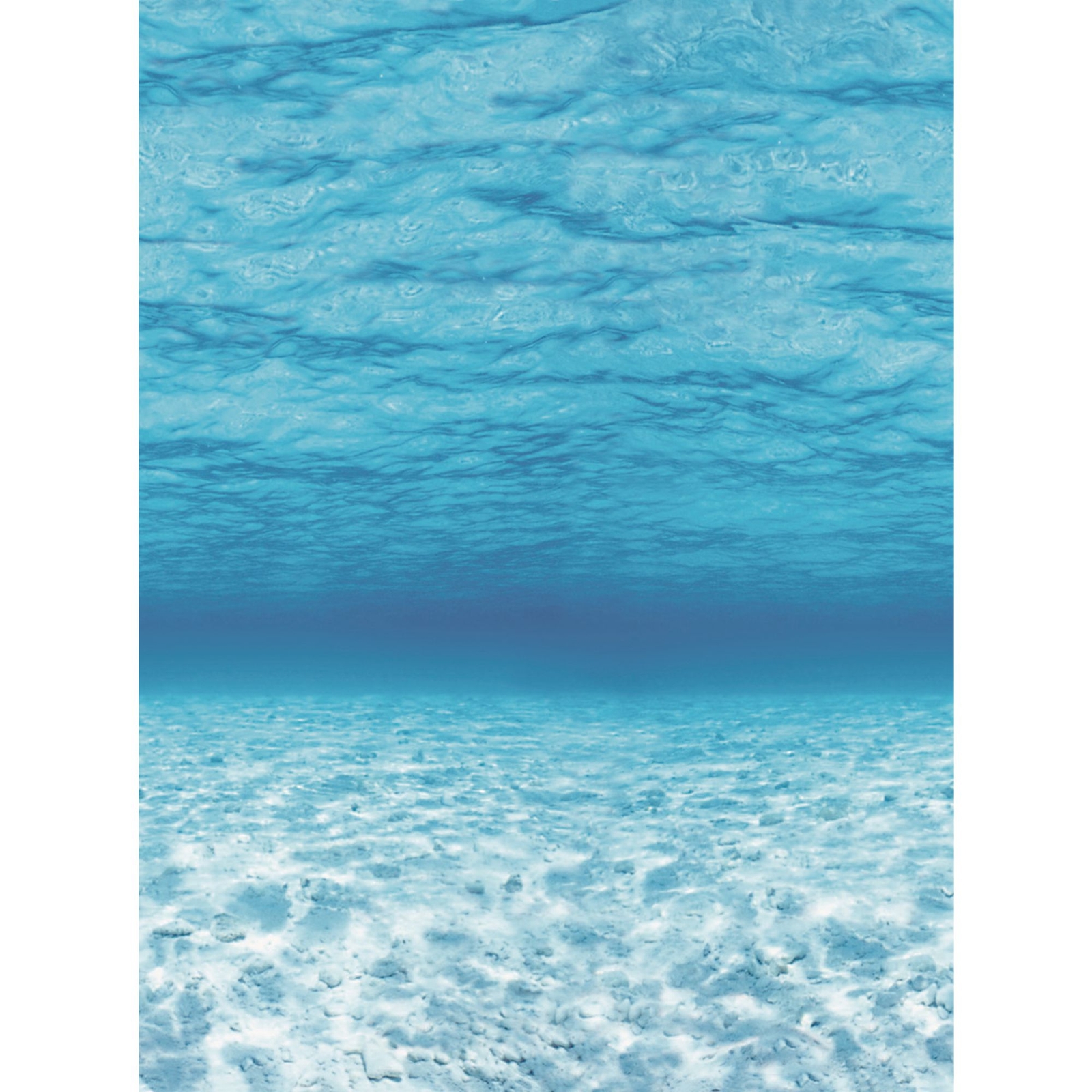 Oceans Fadeless Extra Wide Poster Display Roll - 1218mm x 3.6m - Each