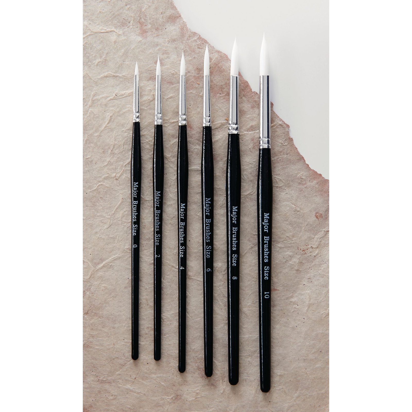 Paint Brush Assortment of Sizes - Pack of 50