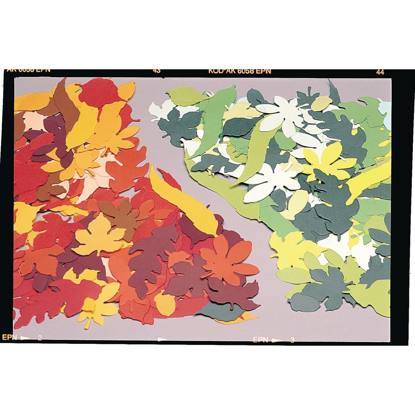 Seasonal Paper Leaves