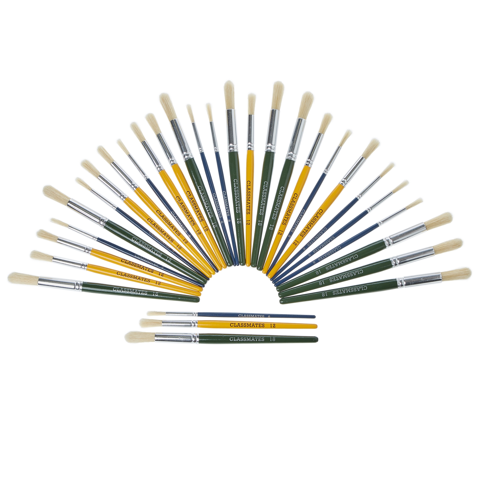 Classmates Hog Hair Stubby Brushes - Pack of 30