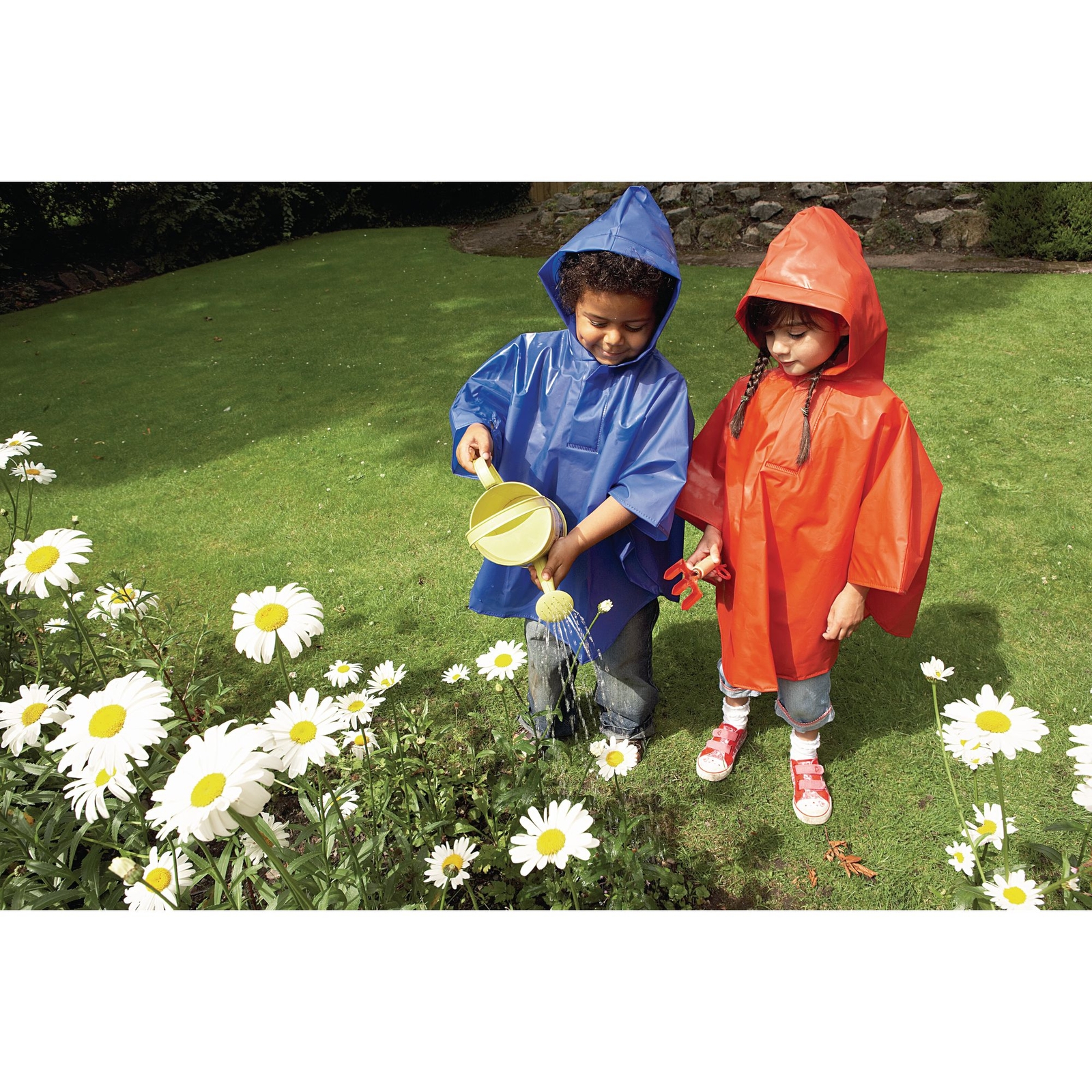 Poncho Class Pack of 25