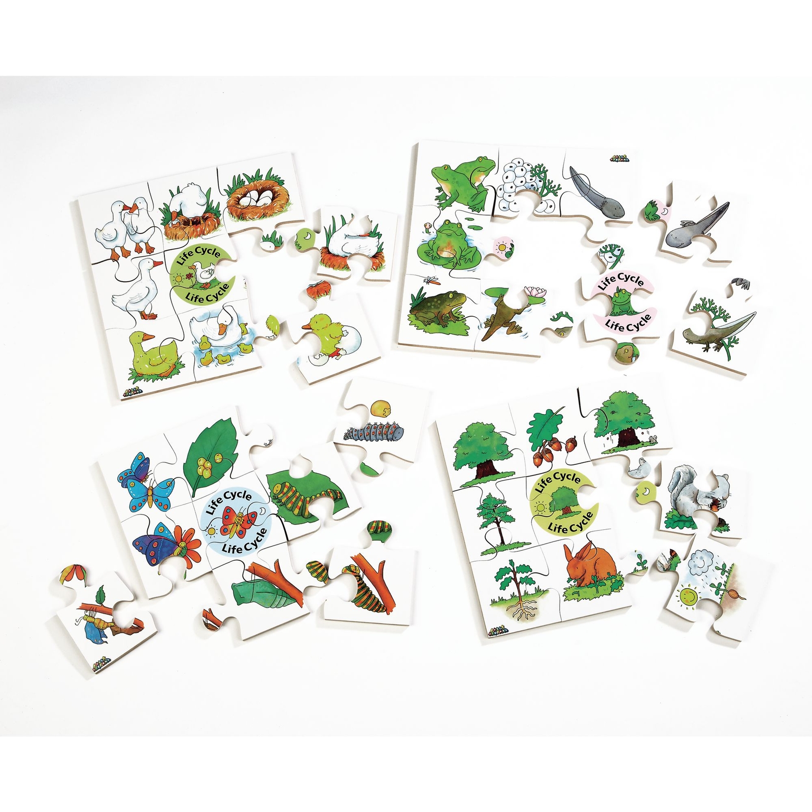 Life Cycle Jigsaw Puzzles